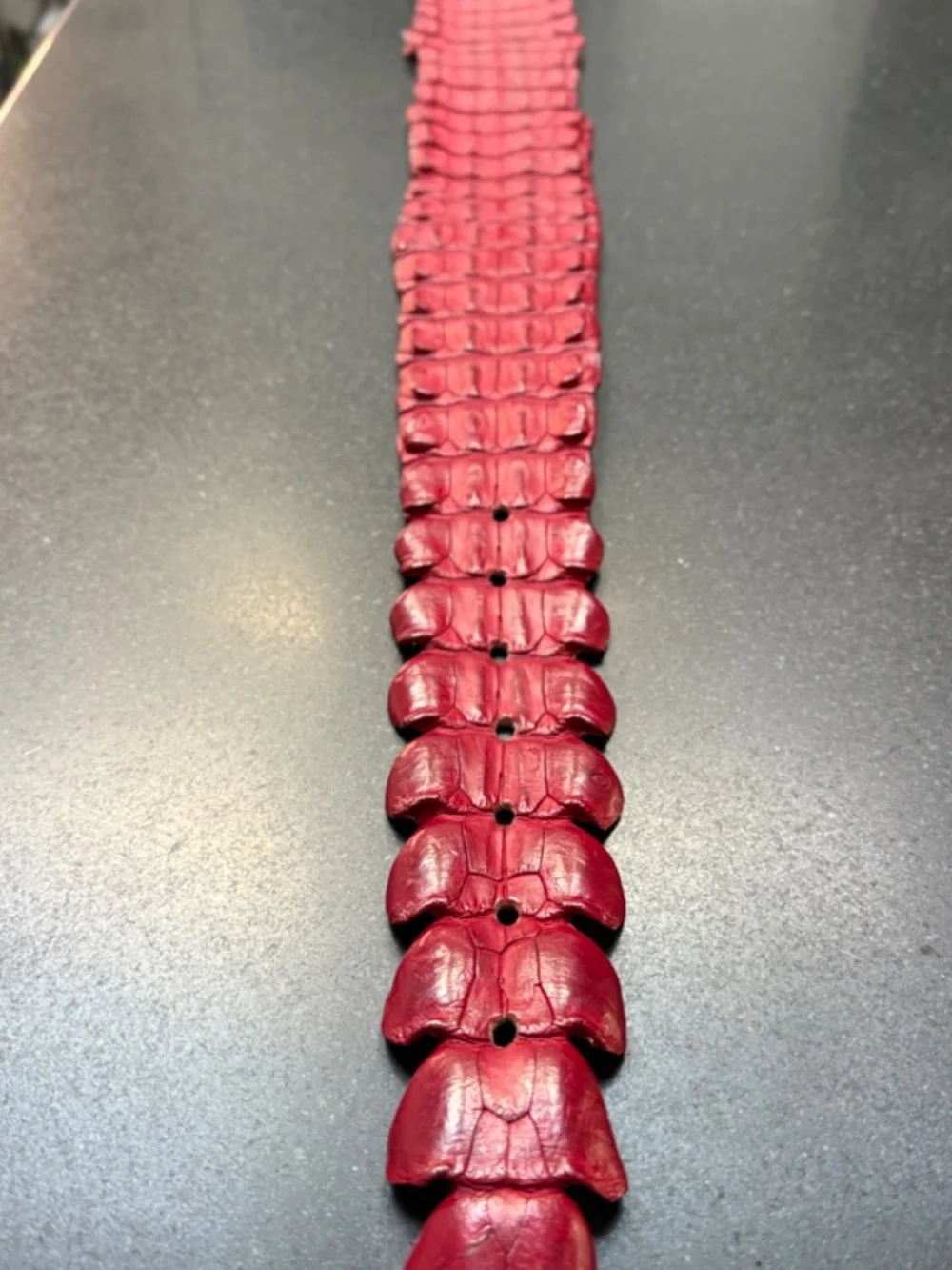 Genuine Nile Crocodile Handmade belt By  Massimiliano Musina in Florance, Italy